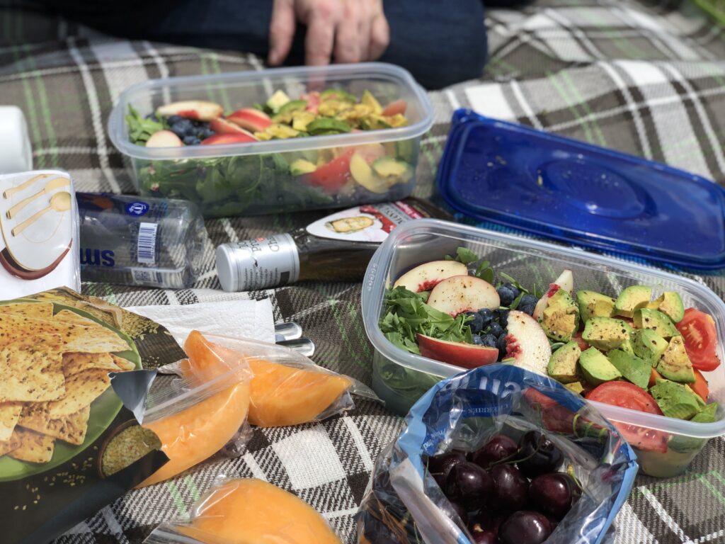 Plant based vegan picnic 